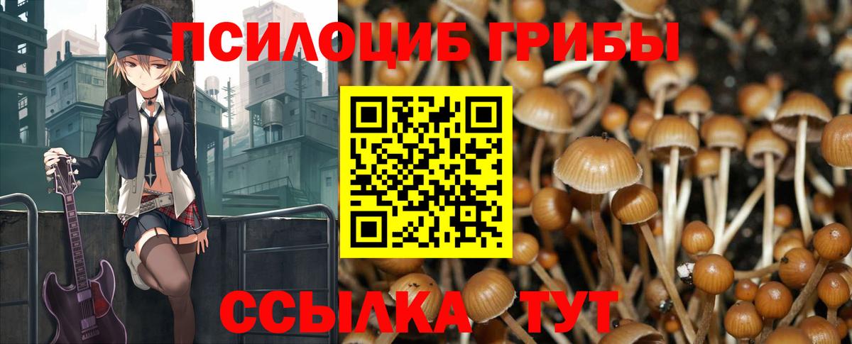 Галлюциногенные грибы MAGIC MUSHROOMS Кирово-Чепецк